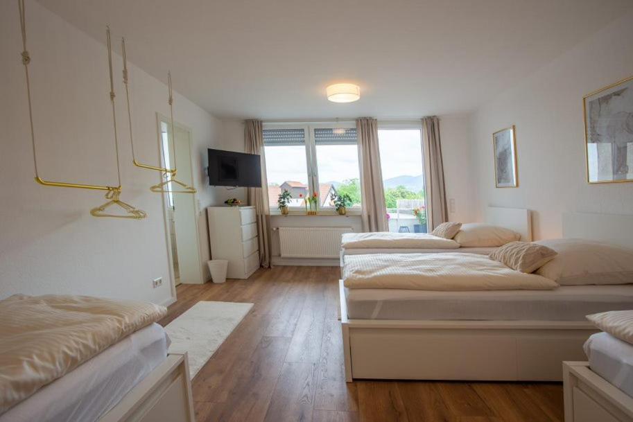 City-House-Achern Extérieur photo