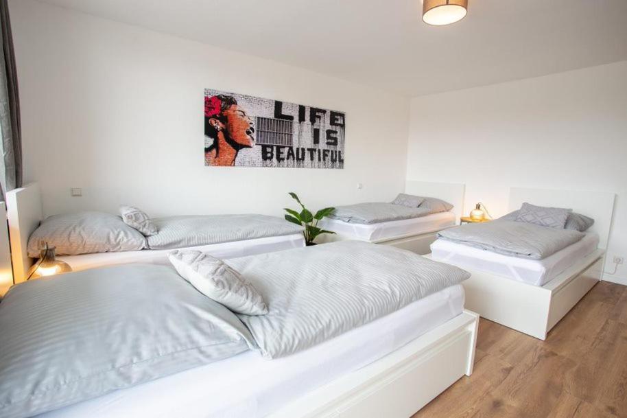City-House-Achern Extérieur photo